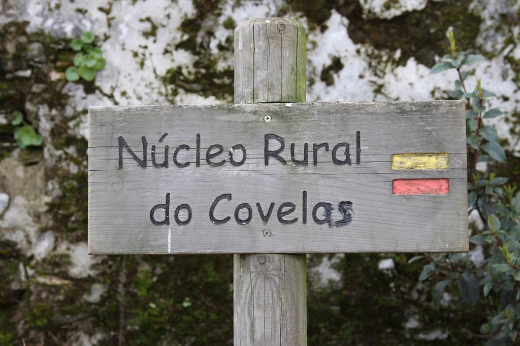 Alojamento Rural De Covelas Covelas  Εξωτερικό φωτογραφία